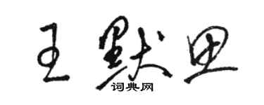 骆恒光王默思草书个性签名怎么写