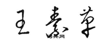 骆恒光王素革草书个性签名怎么写