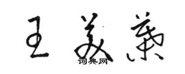 骆恒光王美叶草书个性签名怎么写
