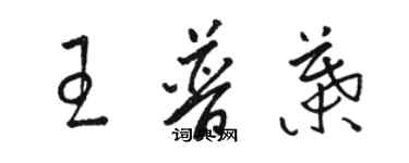 骆恒光王普叶草书个性签名怎么写