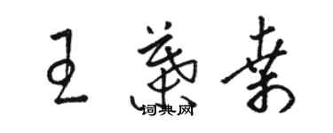 骆恒光王叶桑草书个性签名怎么写