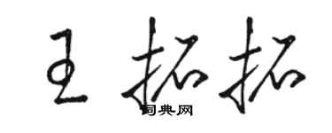 骆恒光王拓拓草书个性签名怎么写