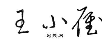 骆恒光王小雁草书个性签名怎么写