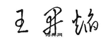 骆恒光王开焰草书个性签名怎么写