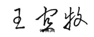 骆恒光王宜牧草书个性签名怎么写