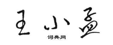 骆恒光王小孟草书个性签名怎么写