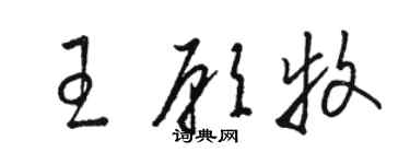 骆恒光王愿牧草书个性签名怎么写