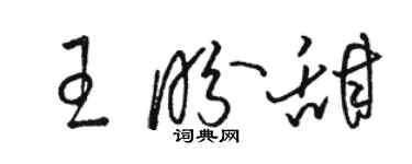 骆恒光王盼甜草书个性签名怎么写