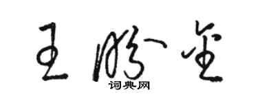 骆恒光王盼金草书个性签名怎么写