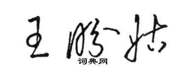 骆恒光王盼姑草书个性签名怎么写