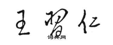骆恒光王习仁草书个性签名怎么写