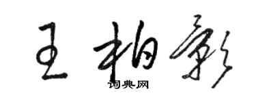 骆恒光王柏影草书个性签名怎么写