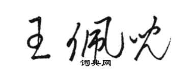 骆恒光王佩儿草书个性签名怎么写