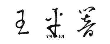 骆恒光王平响草书个性签名怎么写