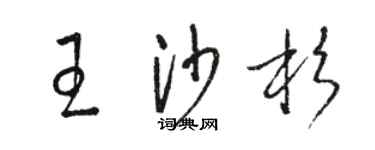骆恒光王沙杉草书个性签名怎么写