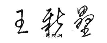 骆恒光王新垒草书个性签名怎么写