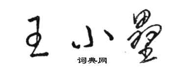 骆恒光王小垒草书个性签名怎么写