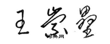 骆恒光王崇垒草书个性签名怎么写