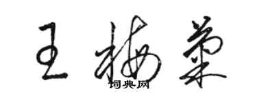 骆恒光王梅菊草书个性签名怎么写