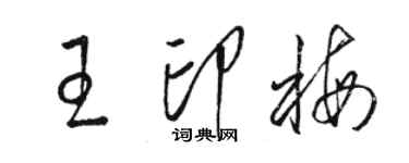 骆恒光王印梅草书个性签名怎么写