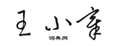 骆恒光王小章草书个性签名怎么写