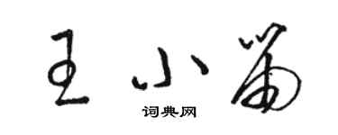 骆恒光王小笛草书个性签名怎么写
