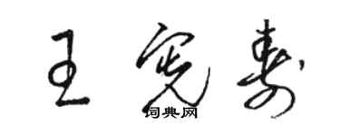 骆恒光王宪寿草书个性签名怎么写