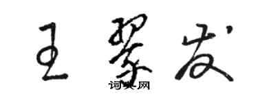 骆恒光王翠发草书个性签名怎么写