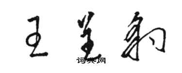 骆恒光王呈豹草书个性签名怎么写