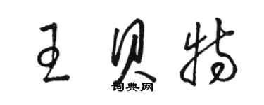 骆恒光王贝特草书个性签名怎么写