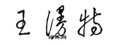 骆恒光王漫特草书个性签名怎么写