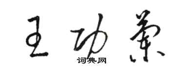 骆恒光王功兰草书个性签名怎么写