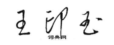 骆恒光王印玉草书个性签名怎么写