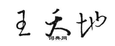 骆恒光王夭地草书个性签名怎么写