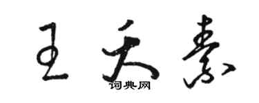 骆恒光王夭素草书个性签名怎么写