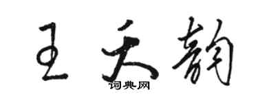 骆恒光王夭韵草书个性签名怎么写