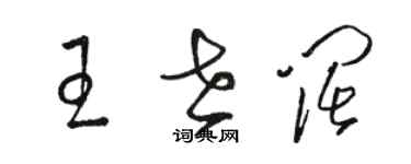骆恒光王世阔草书个性签名怎么写