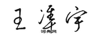 骆恒光王准宇草书个性签名怎么写