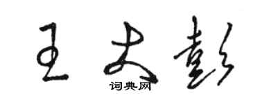 骆恒光王大彭草书个性签名怎么写