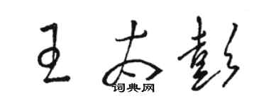 骆恒光王太彭草书个性签名怎么写