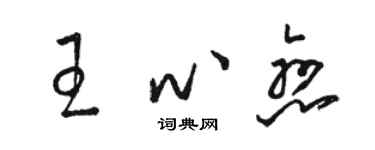骆恒光王心恋草书个性签名怎么写