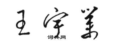 骆恒光王宇业草书个性签名怎么写