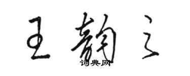 骆恒光王韵之草书个性签名怎么写