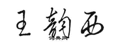 骆恒光王韵西草书个性签名怎么写