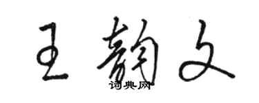 骆恒光王韵文草书个性签名怎么写