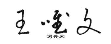 骆恒光王唯文草书个性签名怎么写