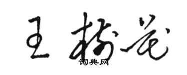 骆恒光王树花草书个性签名怎么写