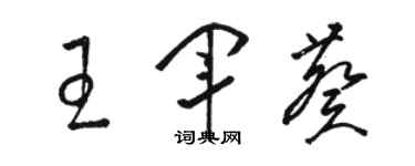 骆恒光王军葵草书个性签名怎么写