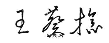 骆恒光王葵捻草书个性签名怎么写