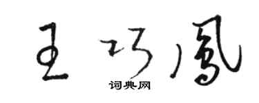 骆恒光王巧凤草书个性签名怎么写
